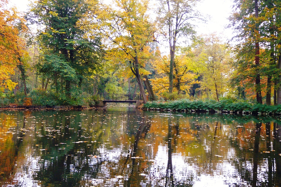 Teich mit Brücke im Ernst-Ehrlicher-Park